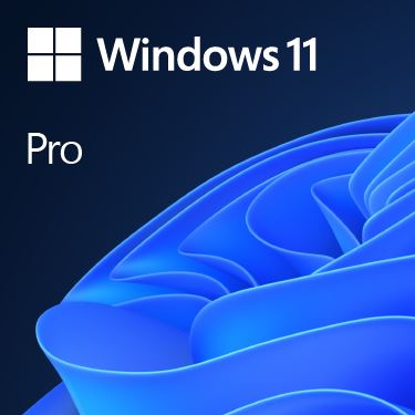 MS Windows 11 Professional 64-bit Cro, FQC-10524