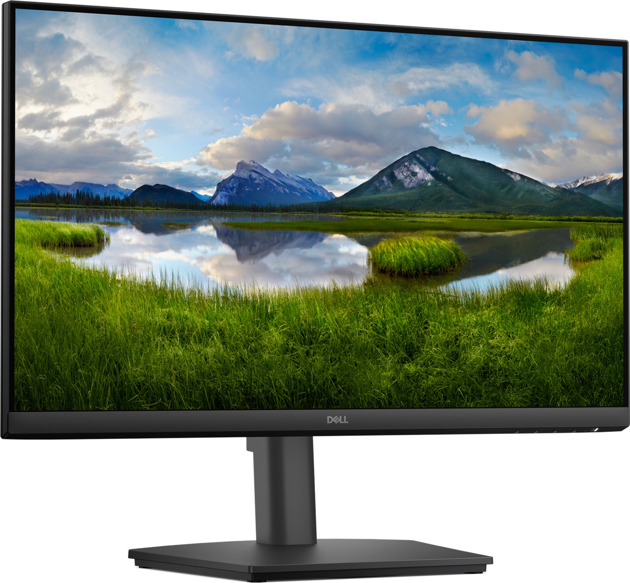 Monitor Dell Pro 24 E2425HSM, 1920x1080, FHD, 100Hz, IPS Antiglare, 16:9, 1000:1, 250 cd/m2, 8ms/5ms, 178/178, DP, HDMI, VGA, 2x2W Speakers, Tilt, Swivel, Pivot, Height Adjust, 3Y