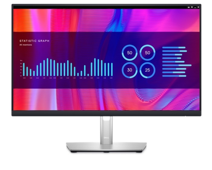 Dell Flat Panel 24" P2423DE with USB-C