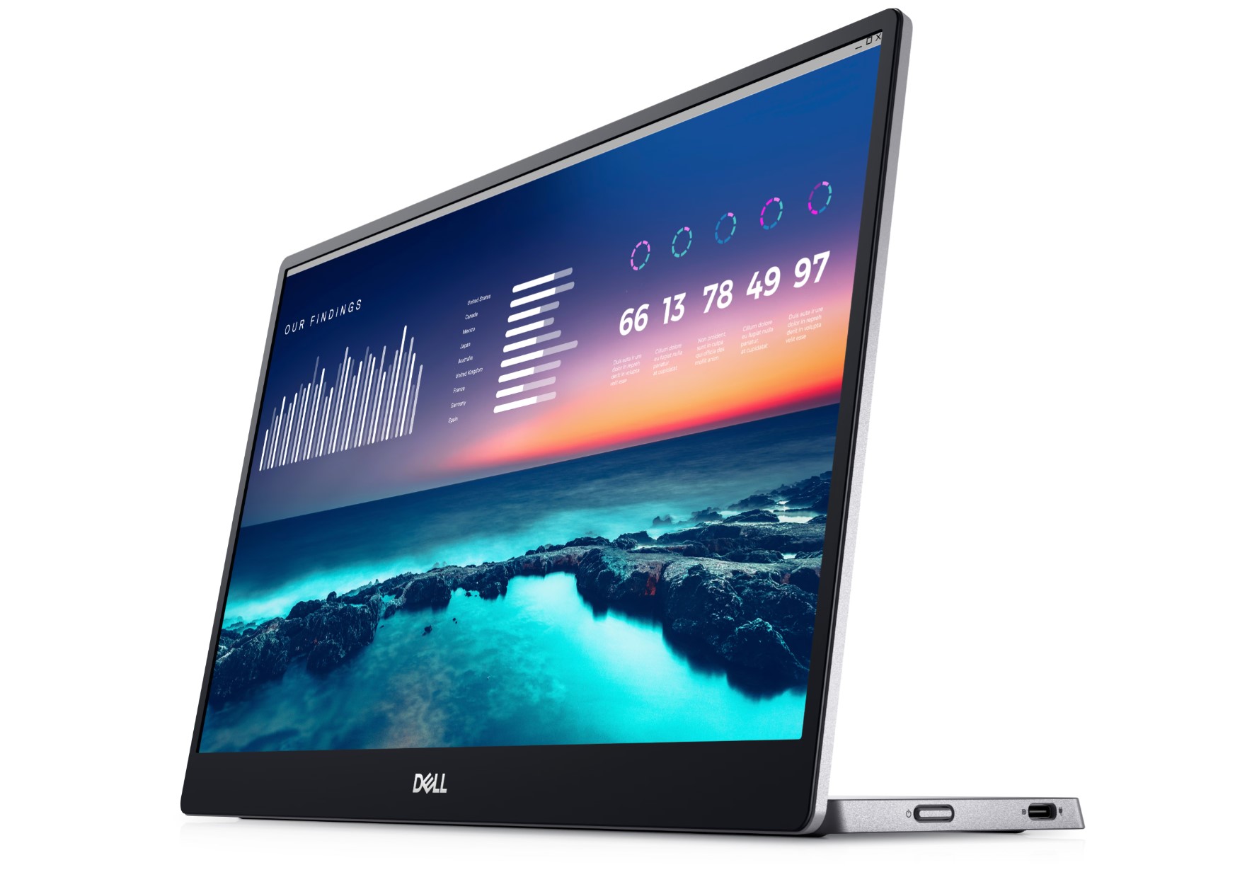 Dell Flat Portable Panel P1424H with USB-C