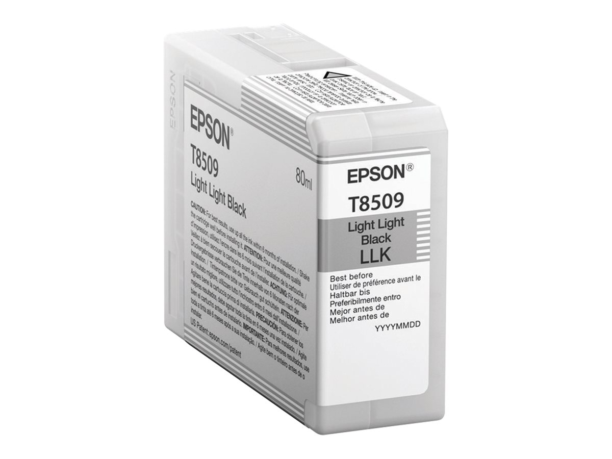EPSON Singlepack Light Light Black, C13T850900