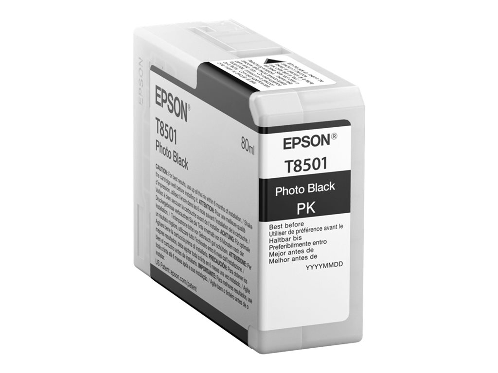 EPSON Singlepack Photo Black T850100, C13T850100