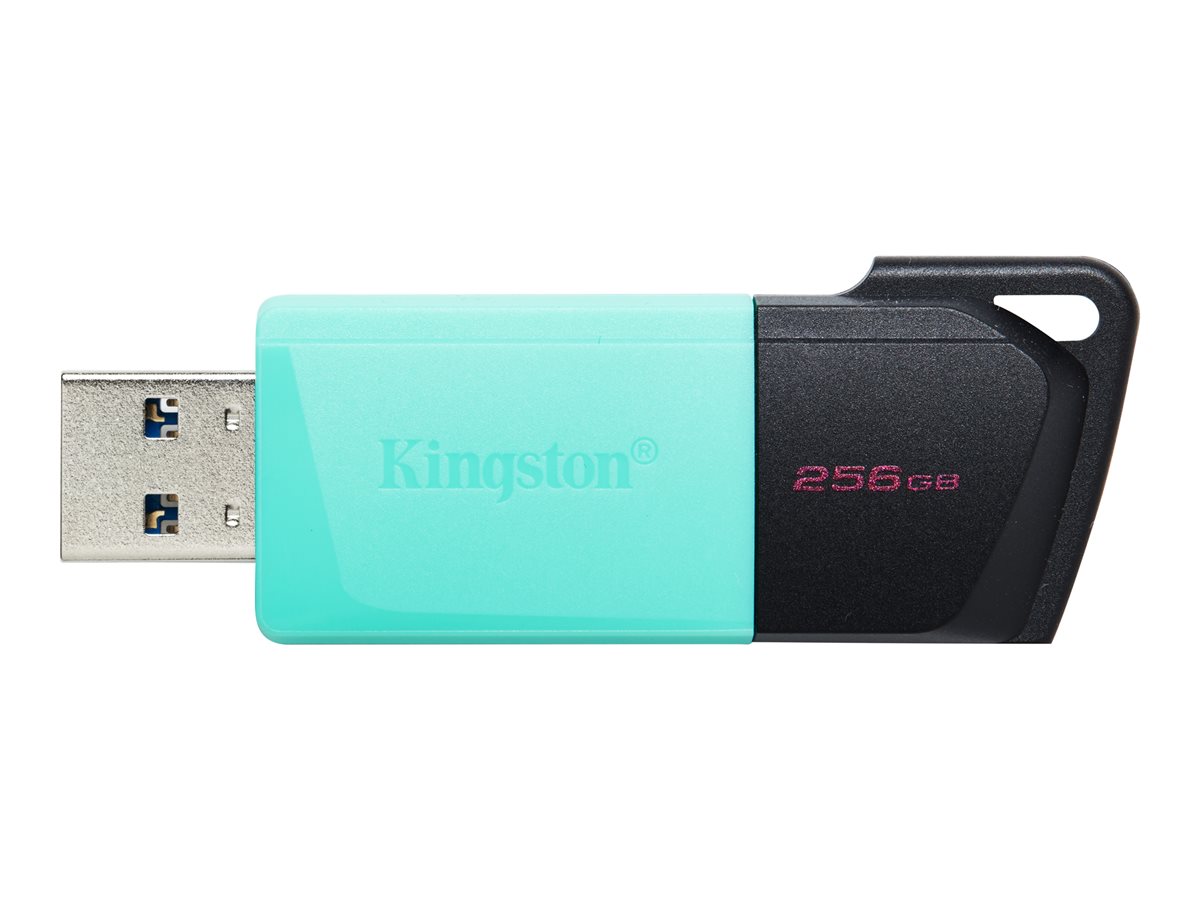 KINGSTON 256GB DataTraveler Exodia M, DTXM/256GB