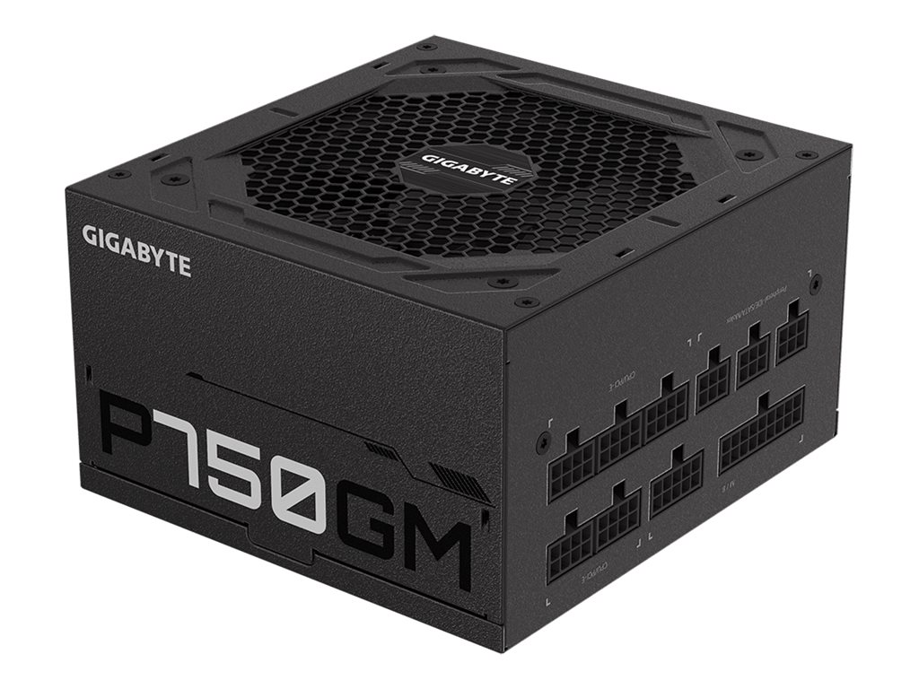 GIGABYTE GP-P750GM 750W ATX 12V v2.31, GP-P750GM
