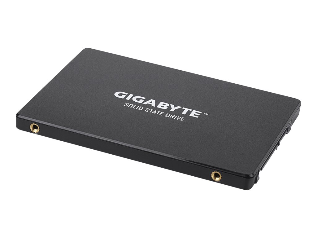 GIGABYTE 256GB 2.5inch SSD SATA3, GP-GSTFS31256GTND